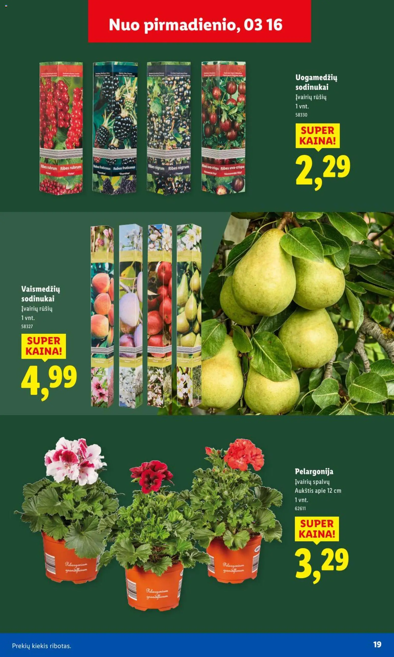 LIDL akcijos nuo 09.02.2026 | Puslapis: 18