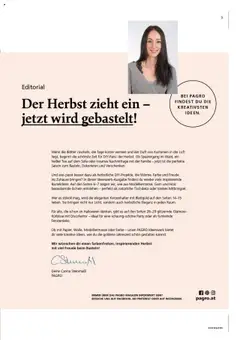 Pagro-Diskont Ideenwerk ab 17.09.2025 gültig | Seite: 3 | Produkte: Sofa, Duft, Tee