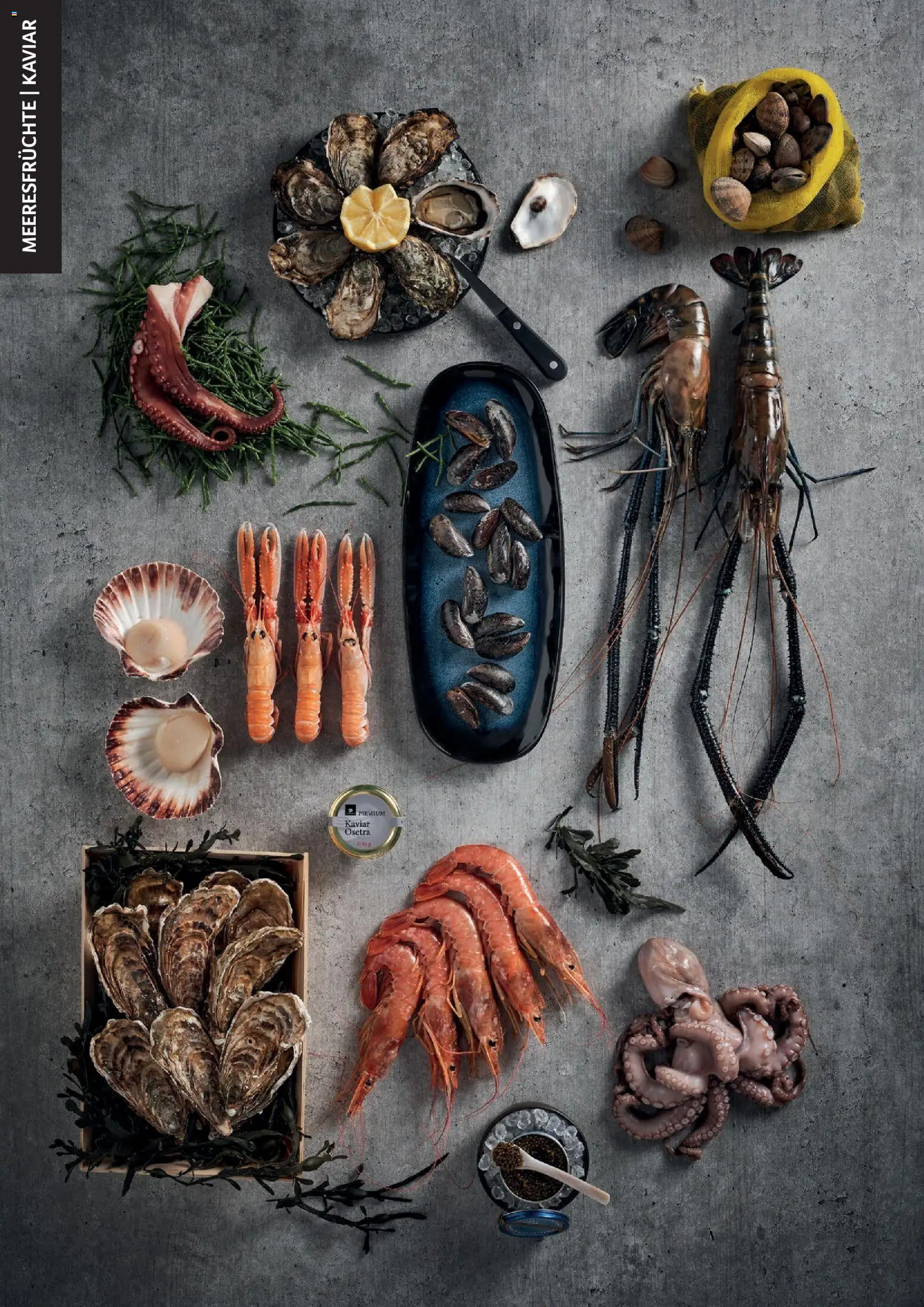 Transgourmet Cook Look-Book gültig ab 08.04.2026 | Seite: 64 | Produkte: Meeresfrüchte