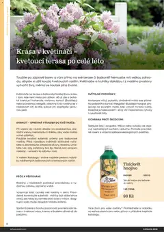 Náhled letáku Starkl katalog od 25.02.2026 | Strana: 8 | Produkty: Voda, Truhlíky, Rostliny, Květináč