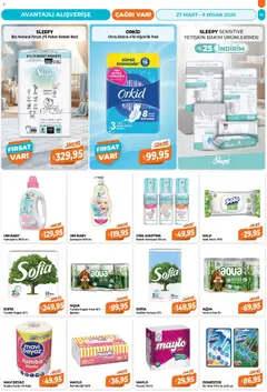 27.03.2026 tarihinden itibaren geçerli olan Çağrı Market kataloğu önizlemesi | Sayfa: 14 | Ürünler: Mendil, Şampuan, Yumuşatıcı, Kağıt havlu