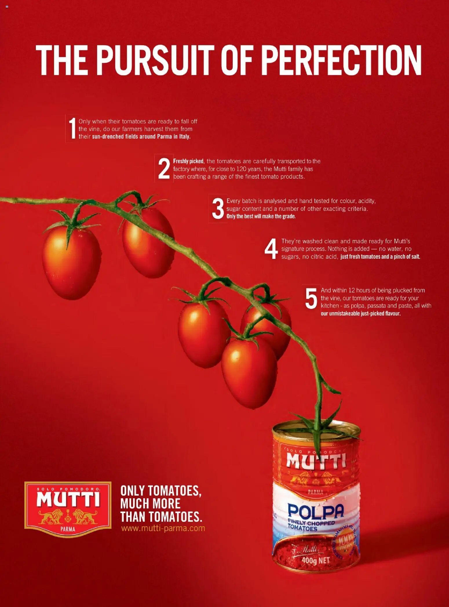 {H1} | Page: 24 | Products: Banány