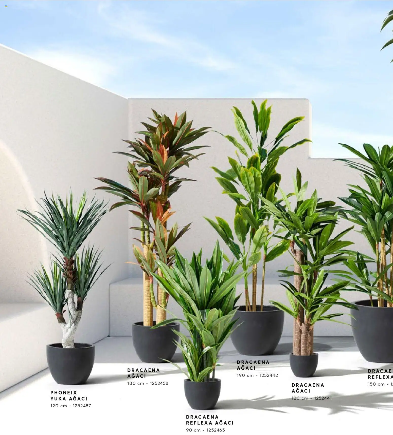 Mudo - Katalog  Ağaç 2026 - 01.01.2026 tarihinden itibaren geçerlidir | Sayfa: 18