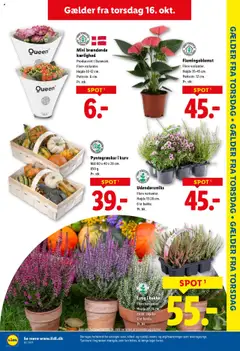 Lidl - Tilbudsavis gyldig fra 12.10.2025 | Side: 29