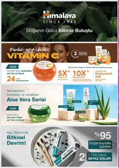 01.12.2025 tarihinden itibaren geçerli olan Gratis kataloğu önizlemesi | Sayfa: 46 | Ürünler: Portakal, Salatalık