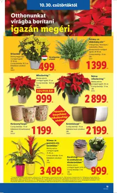 Karácsonyi kaspó***, Cserép átmérője: 14 cm, Különböző téli motívummal /db - amely érvényes a következő dátumtól: 30.10.2025 | Oldal: 13 | Termékek: Kaspó