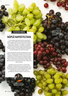 K-Citymarket-mainoslehti voimassa 03.12.2025 alkaen | Sivu: 10 | Tuotteet: Viinirypäleet, Rypäleet, Voi