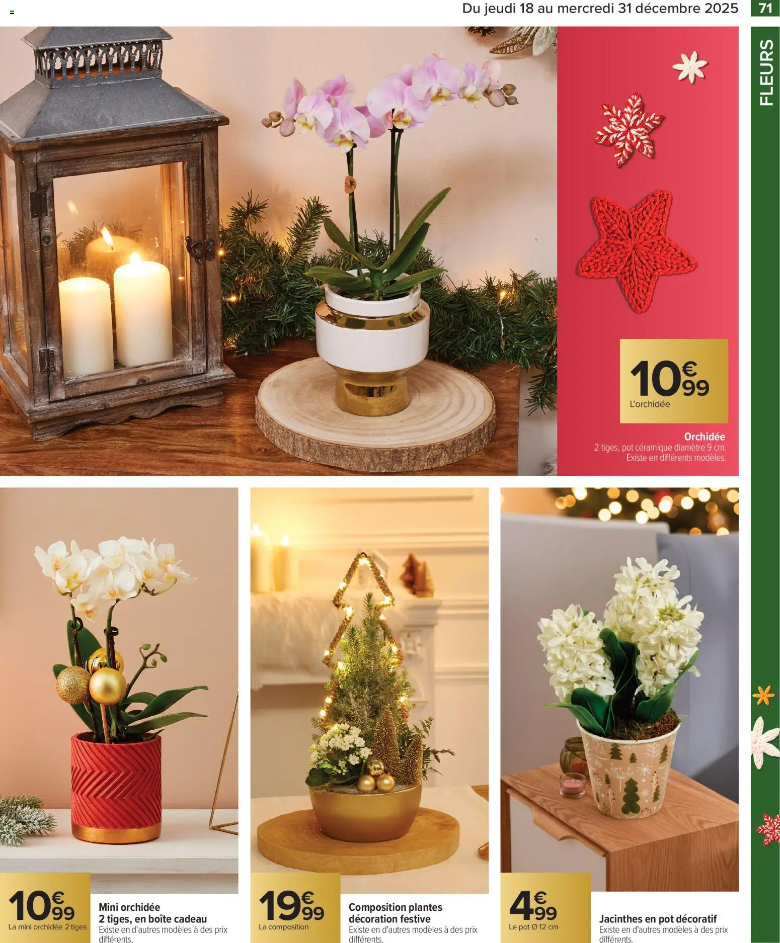 {H1} | Page: 71 | Produits: L'orchidée, Plantes, Orchidée