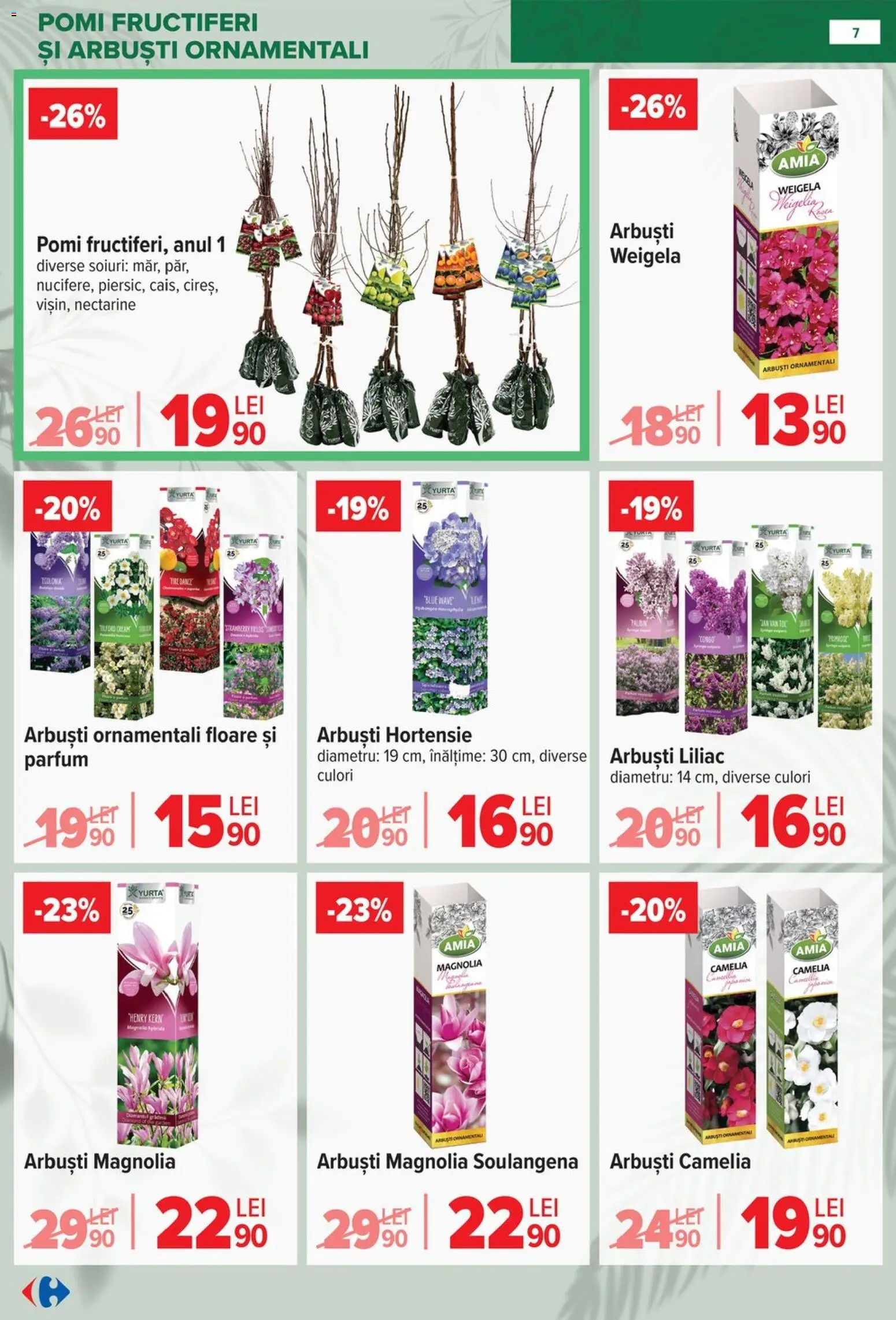 Noul catalog Carrefour – valabil de la 11.02.2026 | Pagină: 7 | Produse: Temizlik kovası, Parfum