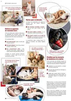 VillaVerde - Prévisualisation de VillaVerde catalogue valide à partir de 19.09.2025 | Page: 56 | Produits: Mais, Porte, Panier, Tapis