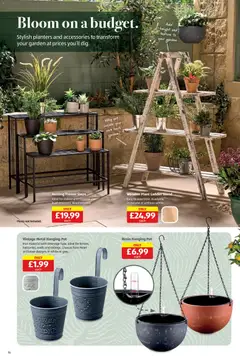 Preview of Aldi - Weekly offers UK Specialbuys valid from 26.03.2026 | Page: 16 | Products: Herb, Pot, Ladder, Iron