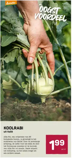 Ekoplaza - Folder week 9 - Voorbeeld van een folder van Ekoplaza, geldig van 25.02.2026 | Pagina: 13