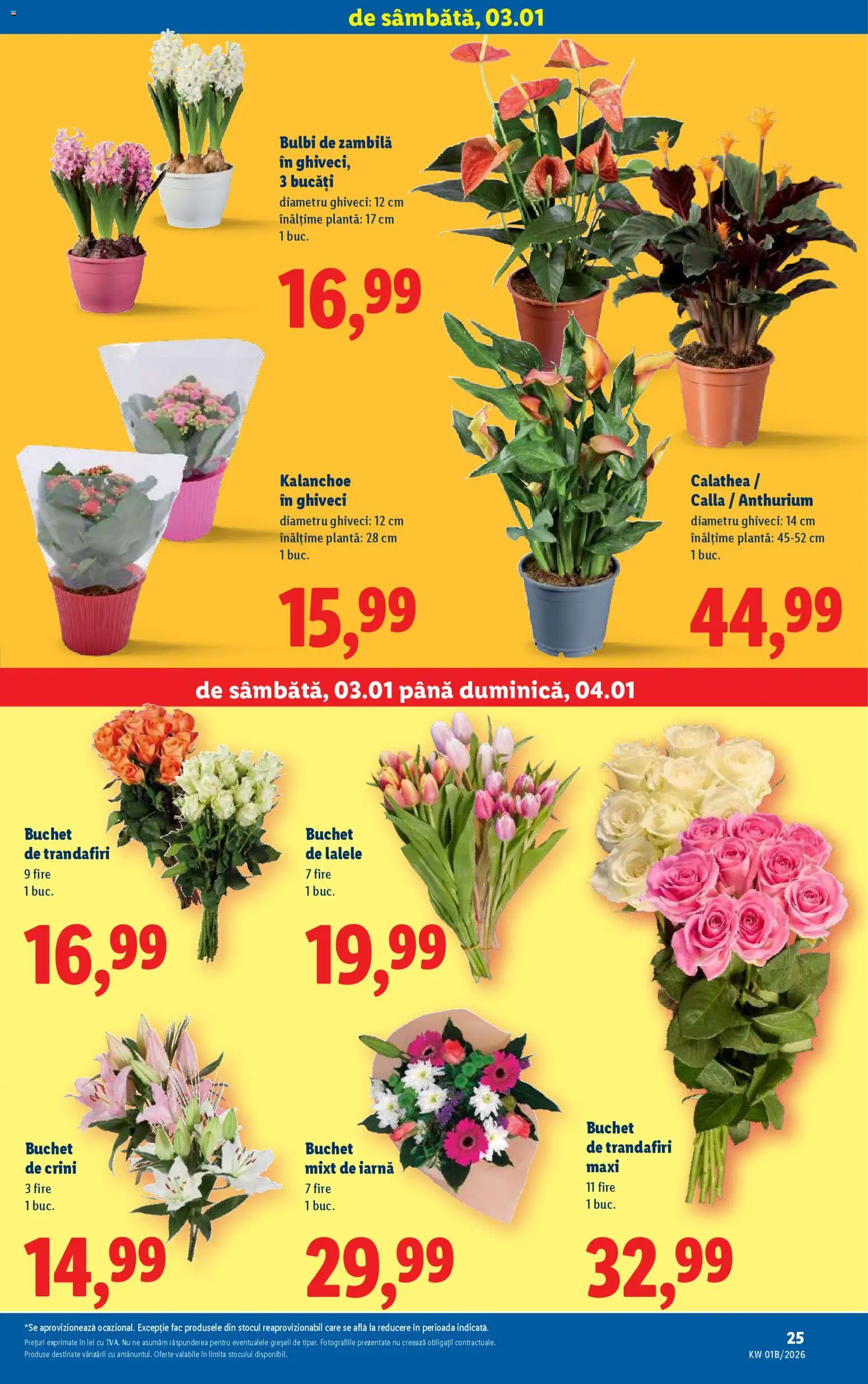 Noul catalog Lidl – valabil de la 02.01.2026 | Pagină: 25 | Produse: Ghiveci