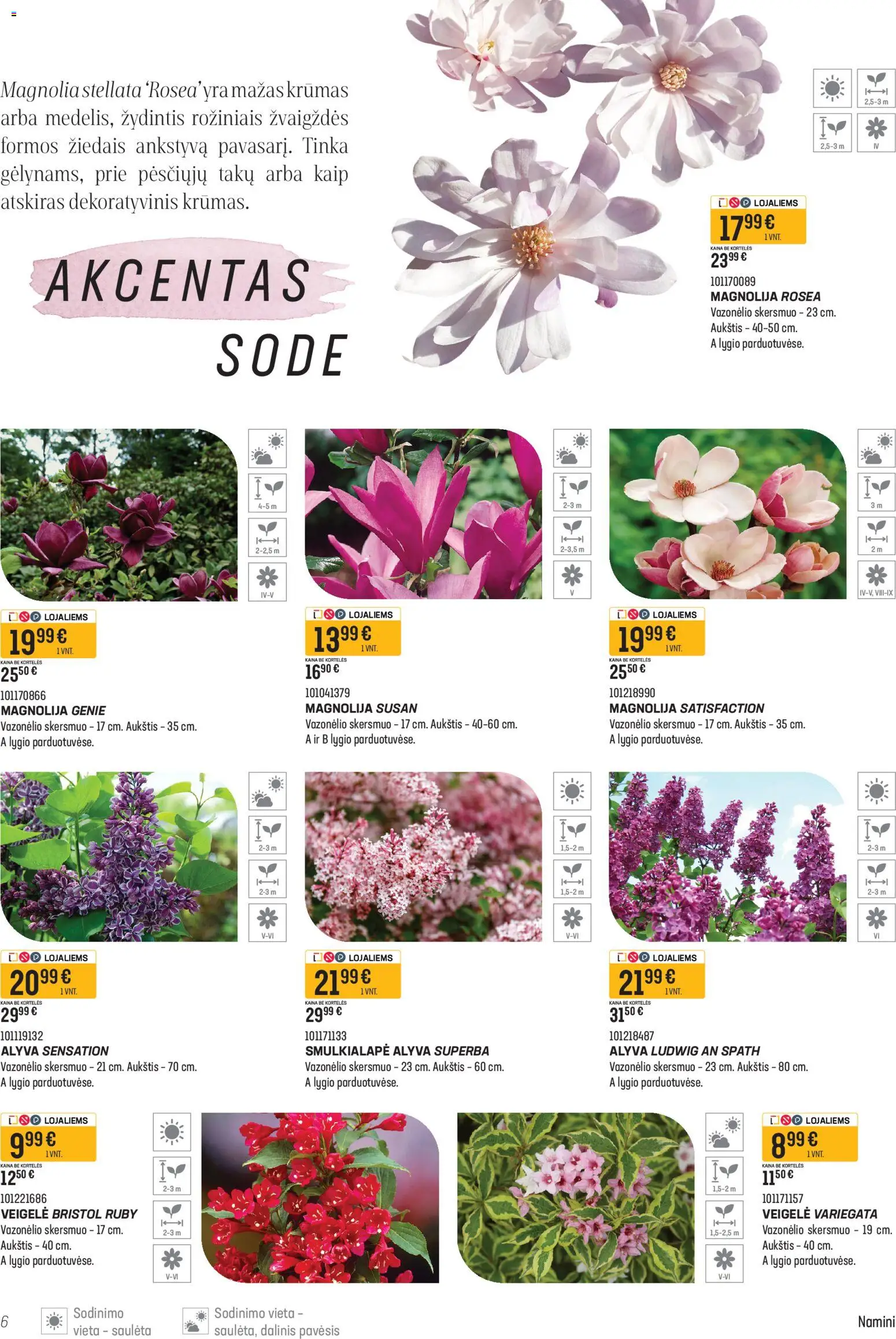 Senukai akcijos nuo 16.04.2026 | Puslapis: 6 | Prekių: Alyva