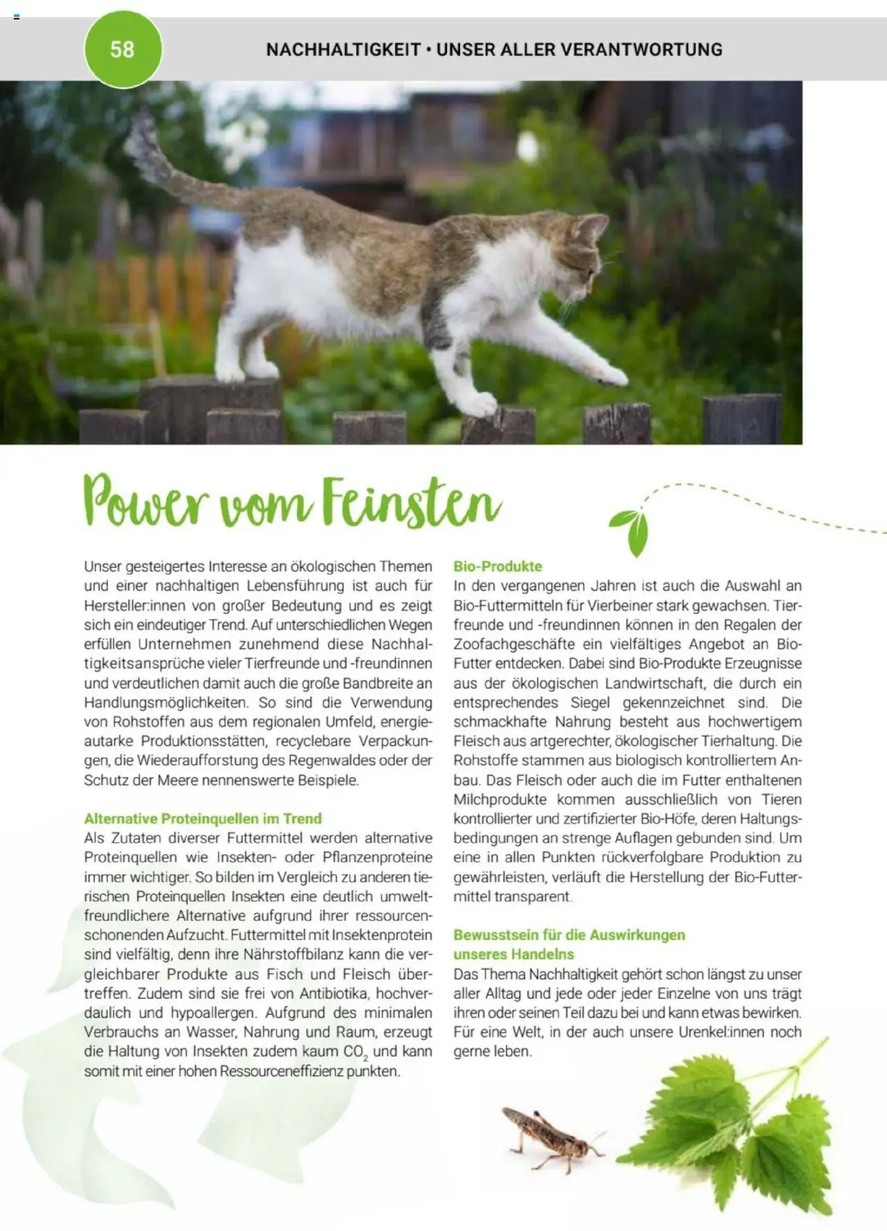 zookauf Themenkatalog Katze – gültig ab 01.10.2025 | Seite: 58 | Produkte: Fisch, Fleisch