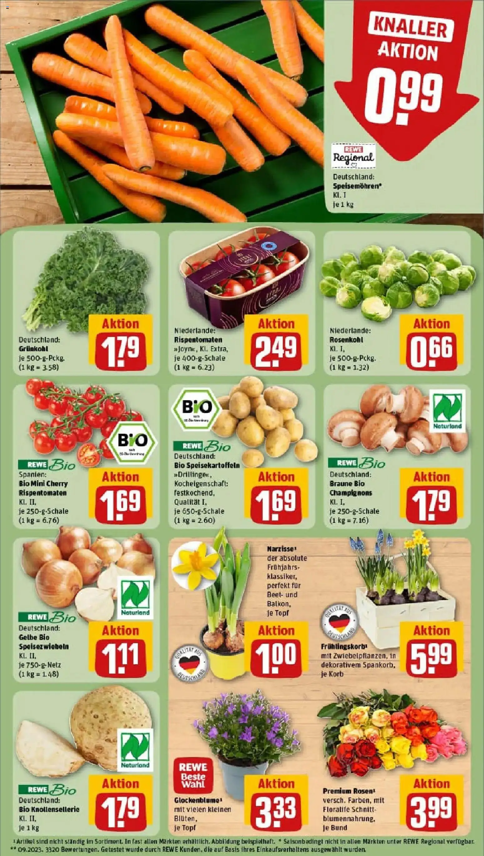 Rewe prospekt Mössingen	 – gültig ab 11.01.2026 | Seite: 7 | Produkte: Korb, Champignons