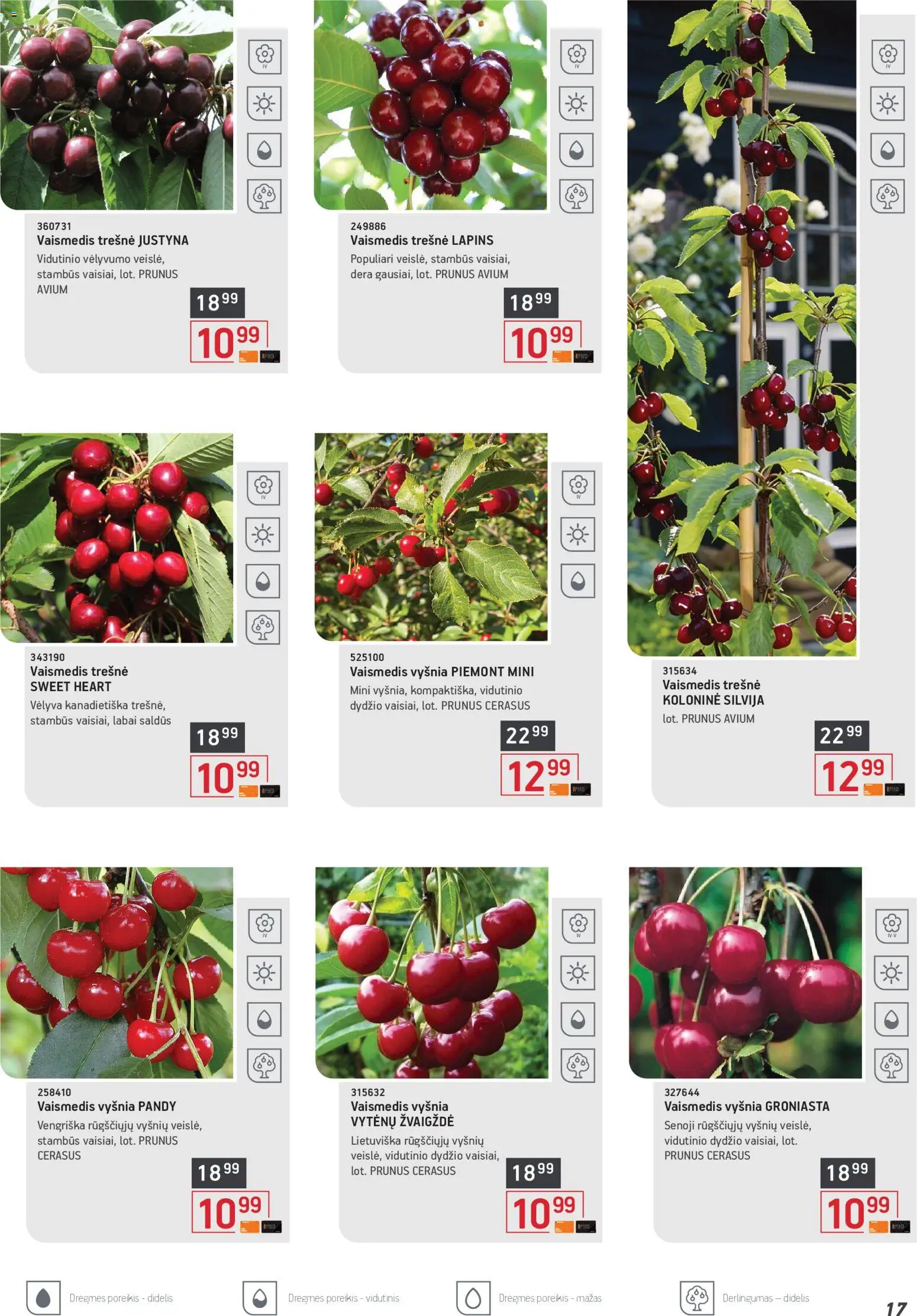 ERMITAŽAS akcijos nuo 01.04.2026 | Puslapis: 17