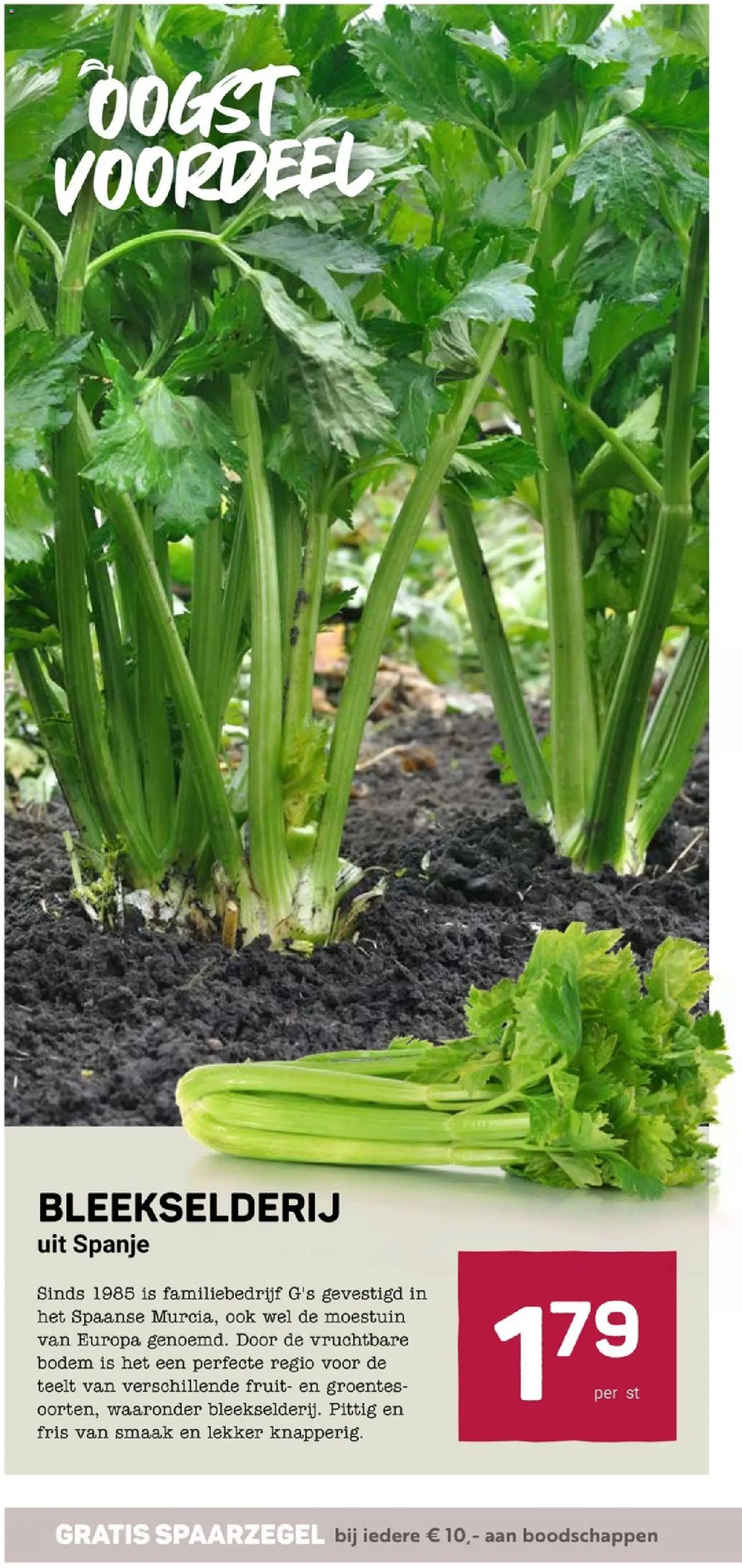 {H1} | Pagina: 10 | Producten: Telefonok, Fruit