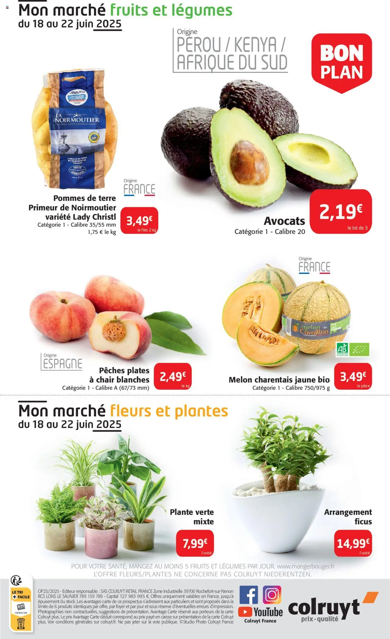  | Page: 33 | Produits: Avocats, Melon, Plantes, Pommes