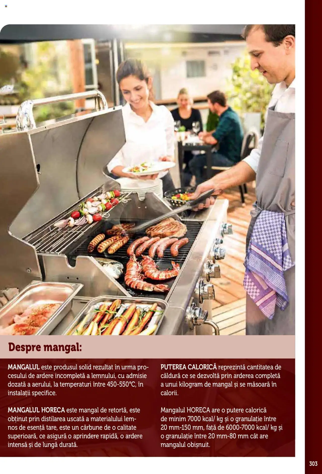 Noul catalog Metro – valabil de la 17.09.2025 | Pagină: 303