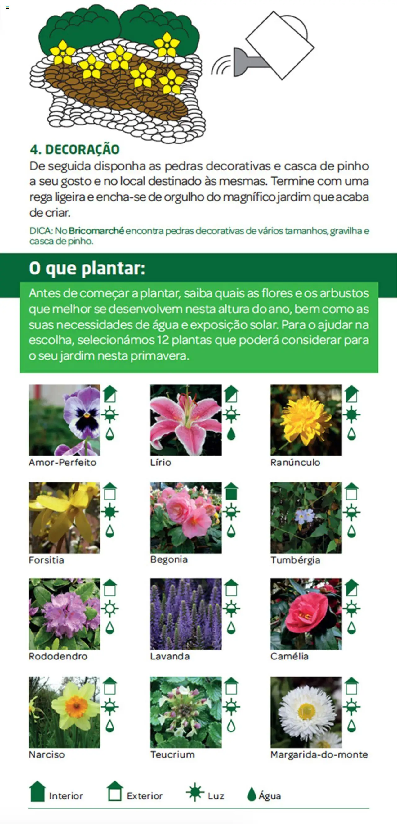 BricoMarché Jardim  │ válido de 27.12.2023 | Página: 4 | Produtos: Flores