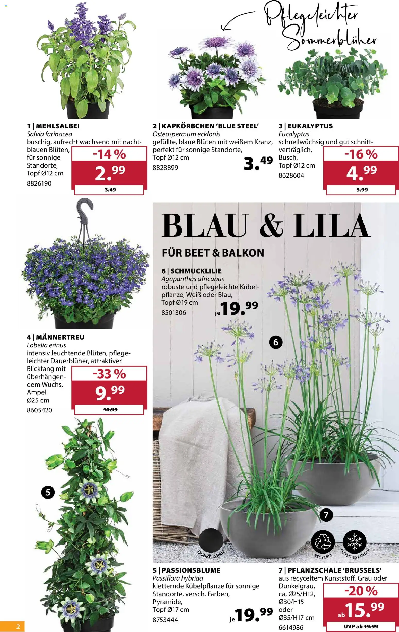 Dehner Prospekt 	 – gültig ab 22.04.2026 | Seite: 2