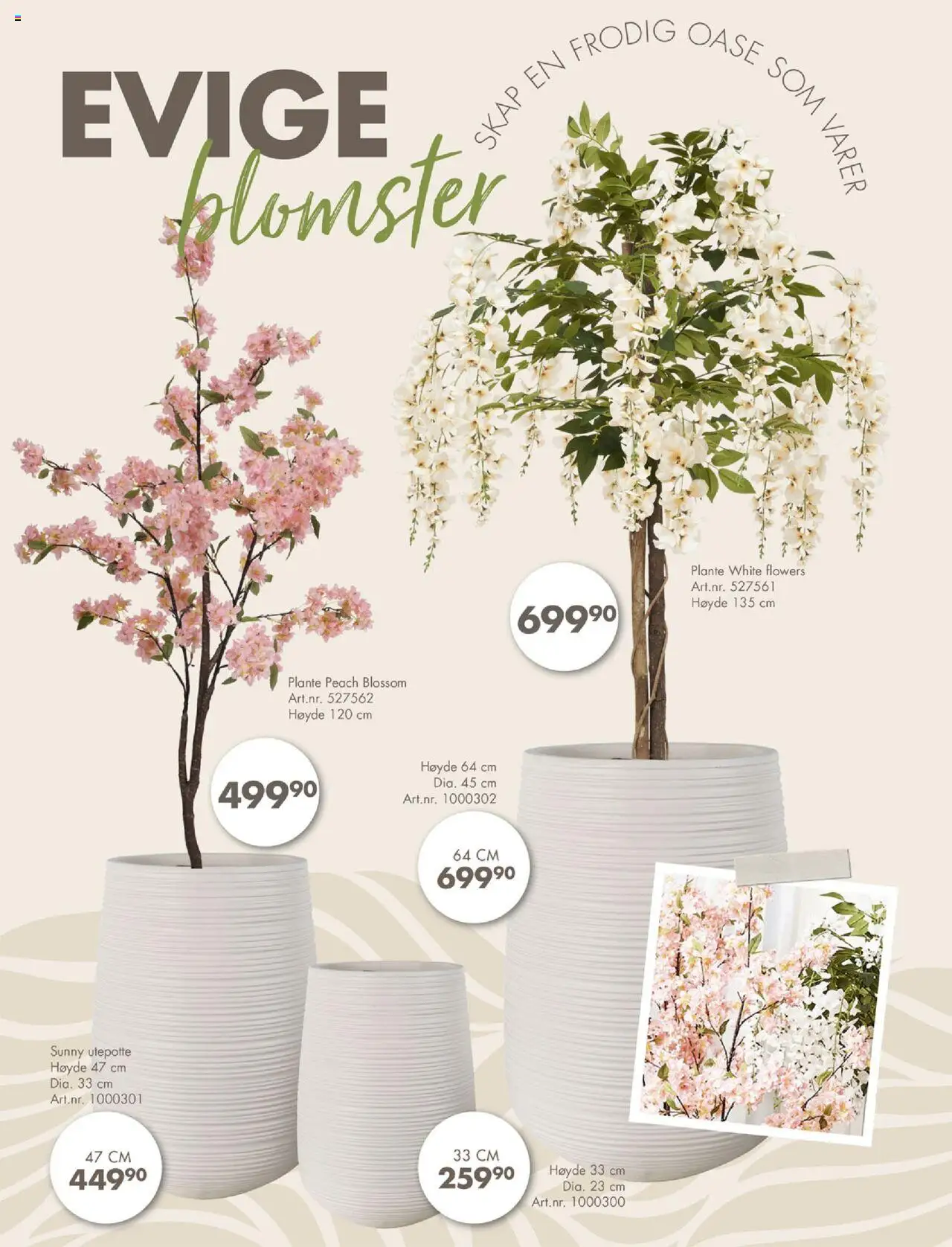  | Side: 6 | Produkter: Cremă pentru față