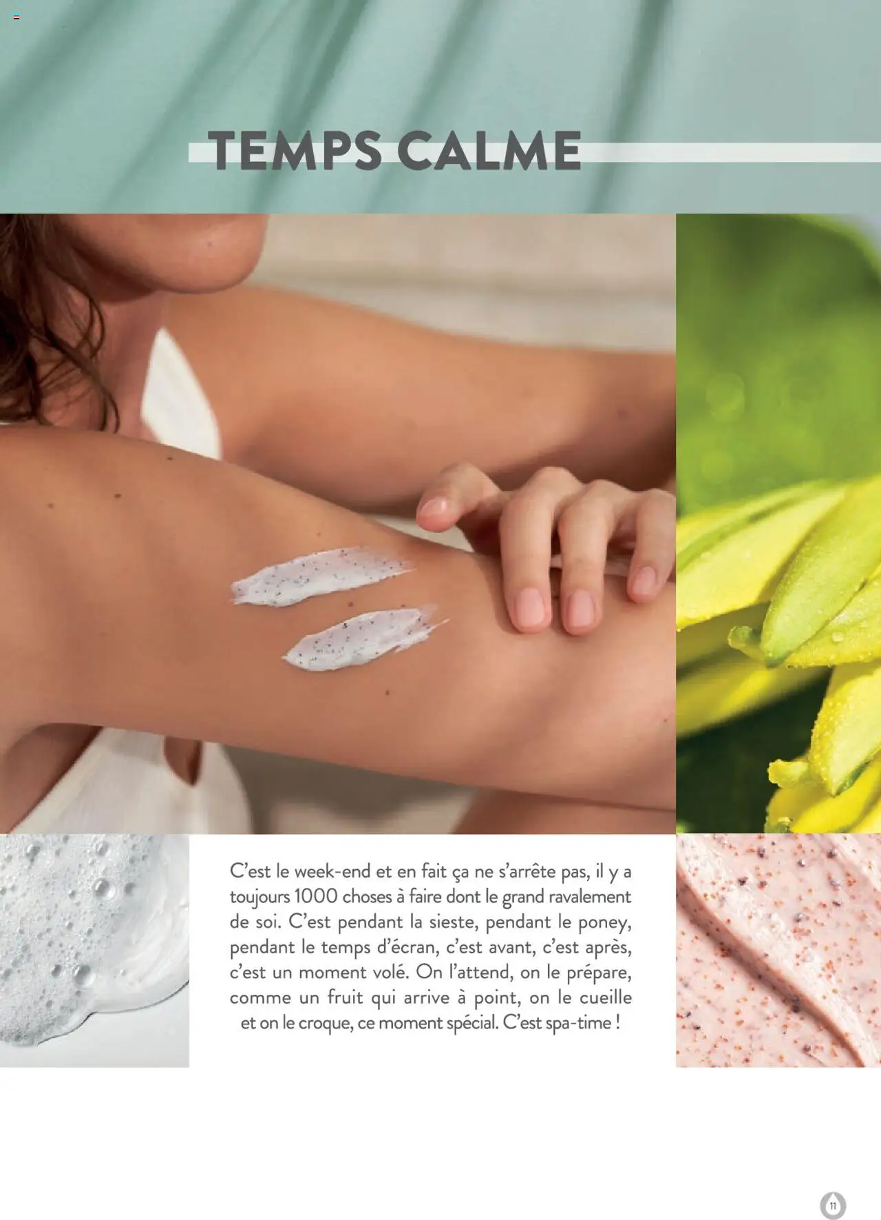  | Page: 11