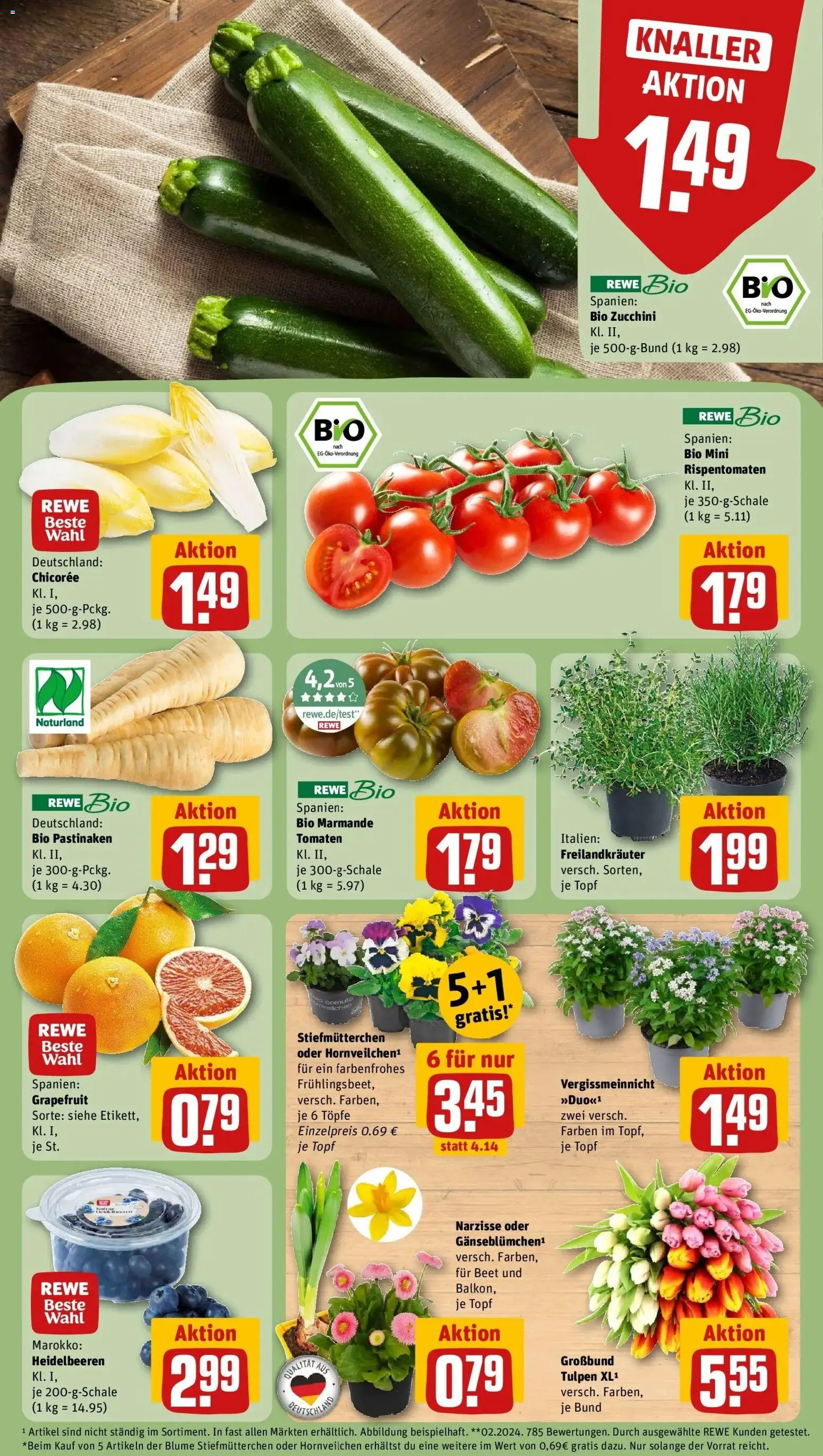 Rewe Prospekt Dieburg	 – gültig ab 15.03.2026 | Seite: 9 | Produkte: Stiefmutterchen, Tomaten, Heidelbeeren, Grapefruit