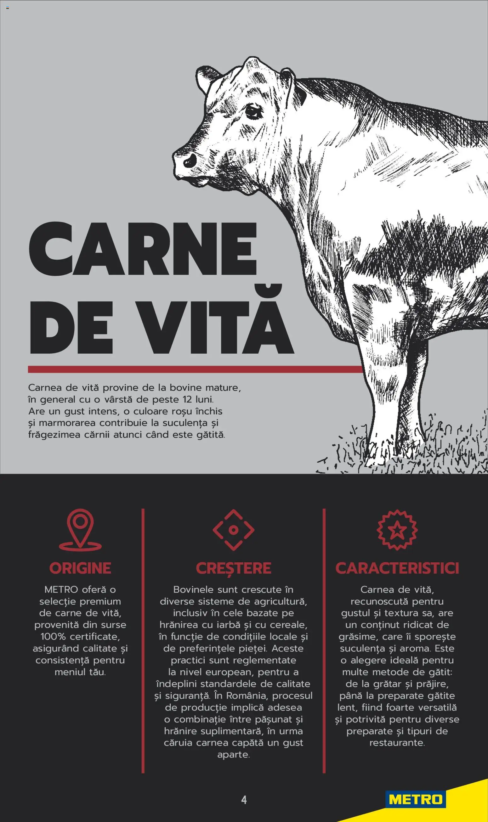 Noul catalog Metro – valabil de la 03.06.2025 | Pagină: 4 | Produse: Grătar, Pește, Carne De Vită