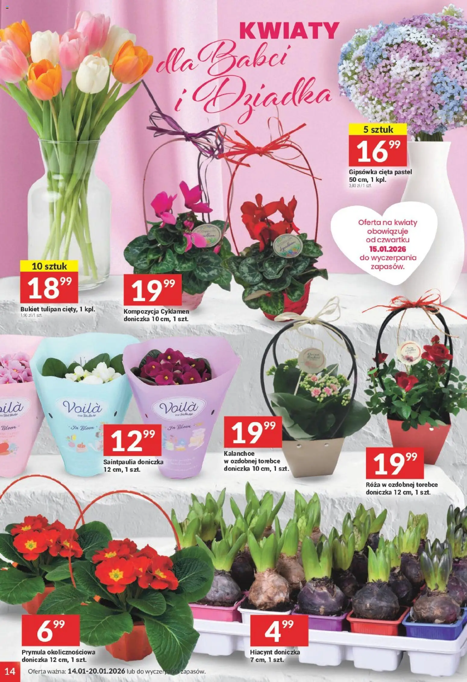 Twój Market Gazetka od 14.01.2026 | Strona: 14 | Produkty: Doniczka, Kalanchoe, Kwiaty