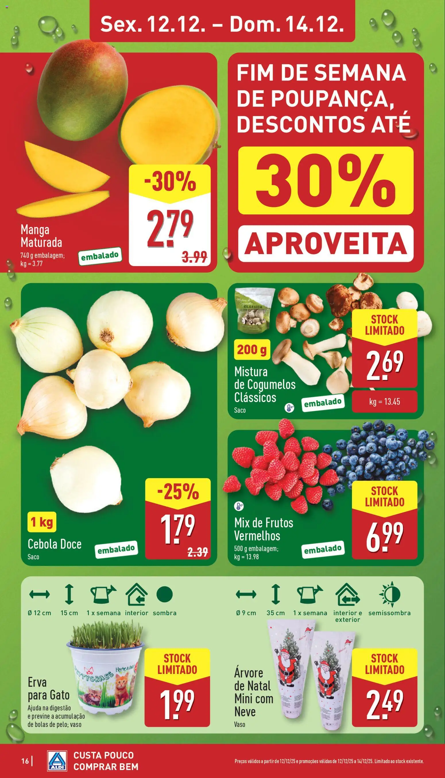 Aldi folheto │ válido de 08.12.2025 | Página: 16 | Produtos: Cebola, Vaso, Cogumelos