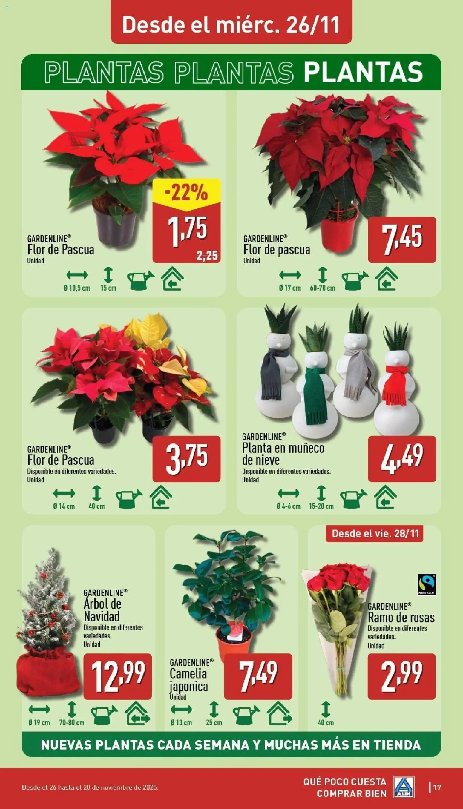 Aldi folleto Península │ válido desde el 24.11.2025 | Página: 17