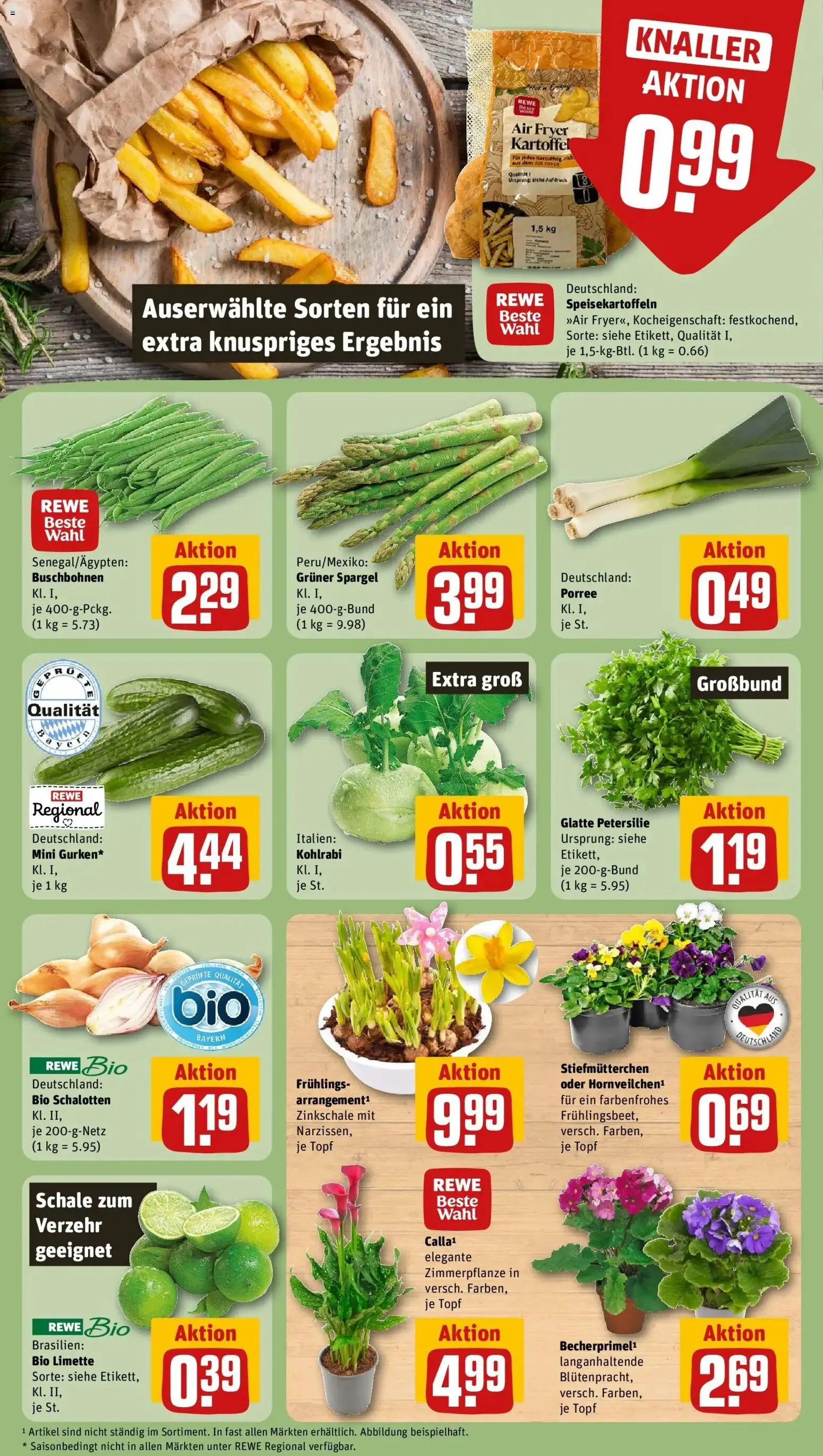 Rewe prospekt Burgheim	 – gültig ab 22.02.2026 | Seite: 7 | Produkte: Stiefmutterchen, Kohlrabi, Spargel, Petersilie