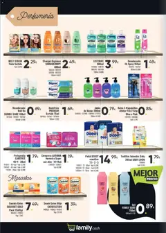 Vista previa Family Cash Black Friday válido desde el 10.11.2025 | Página: 13