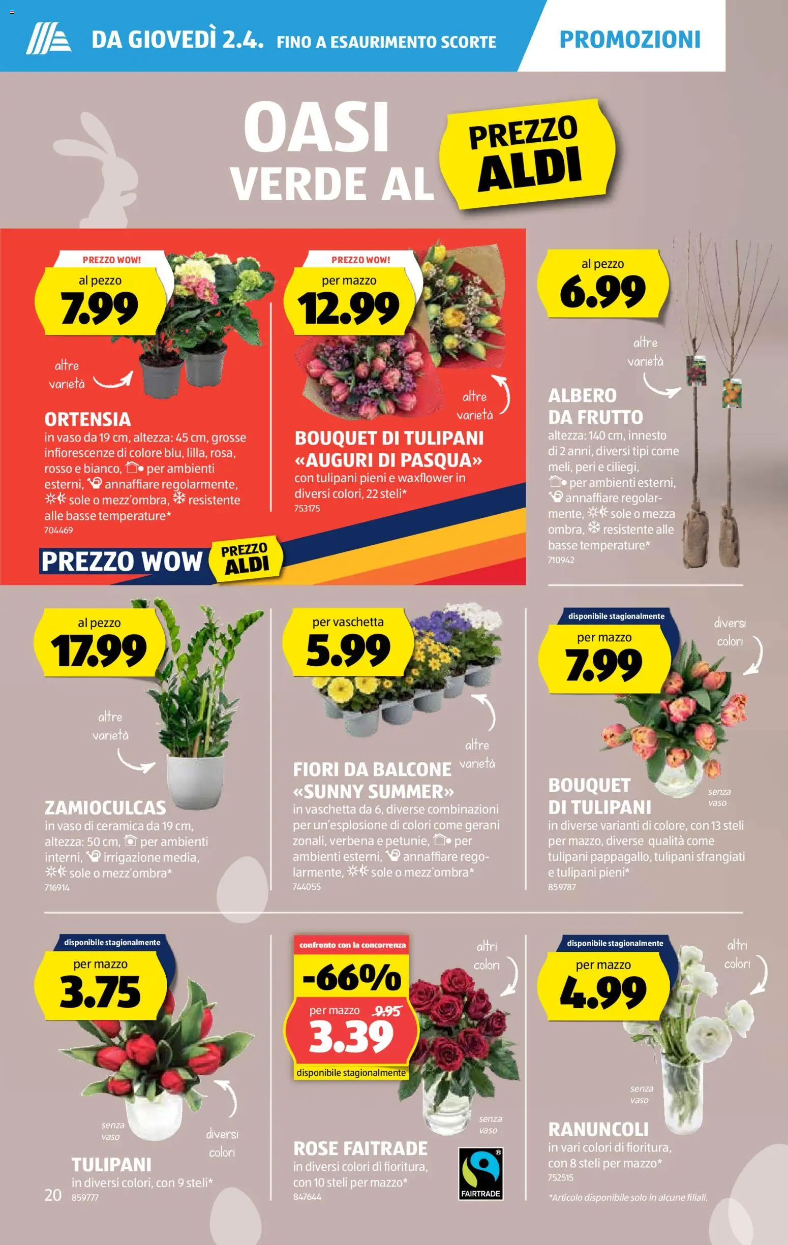 Aldi aktionen IT – gültig ab 02.04.2026 | Seite: 21