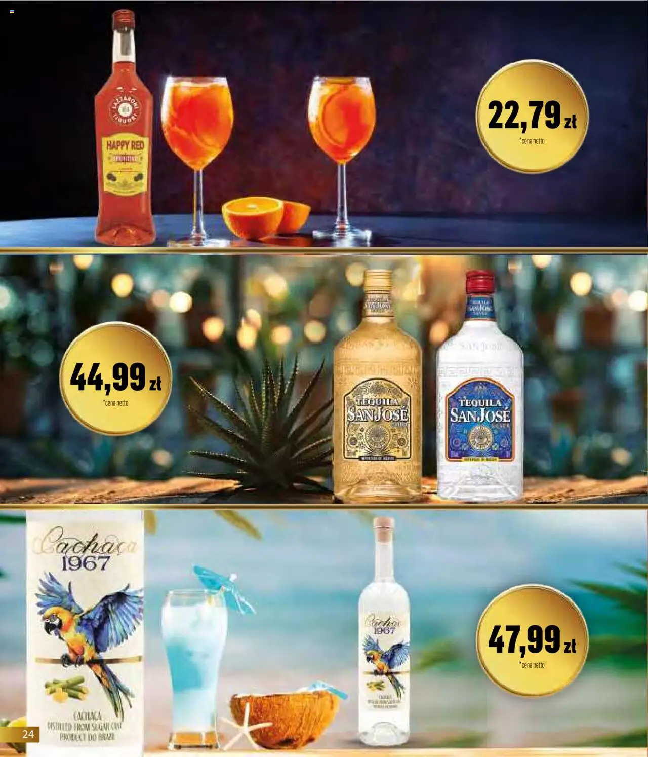 Eurocash Gazetka - Horeca od 01.06.2025 | Strona: 24 | Produkty: Tequila