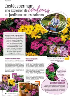 VillaVerde - Prévisualisation de VillaVerde catalogue valide à partir de 01.04.2026 | Page: 18 | Produits: Montre, Mais, Magazine