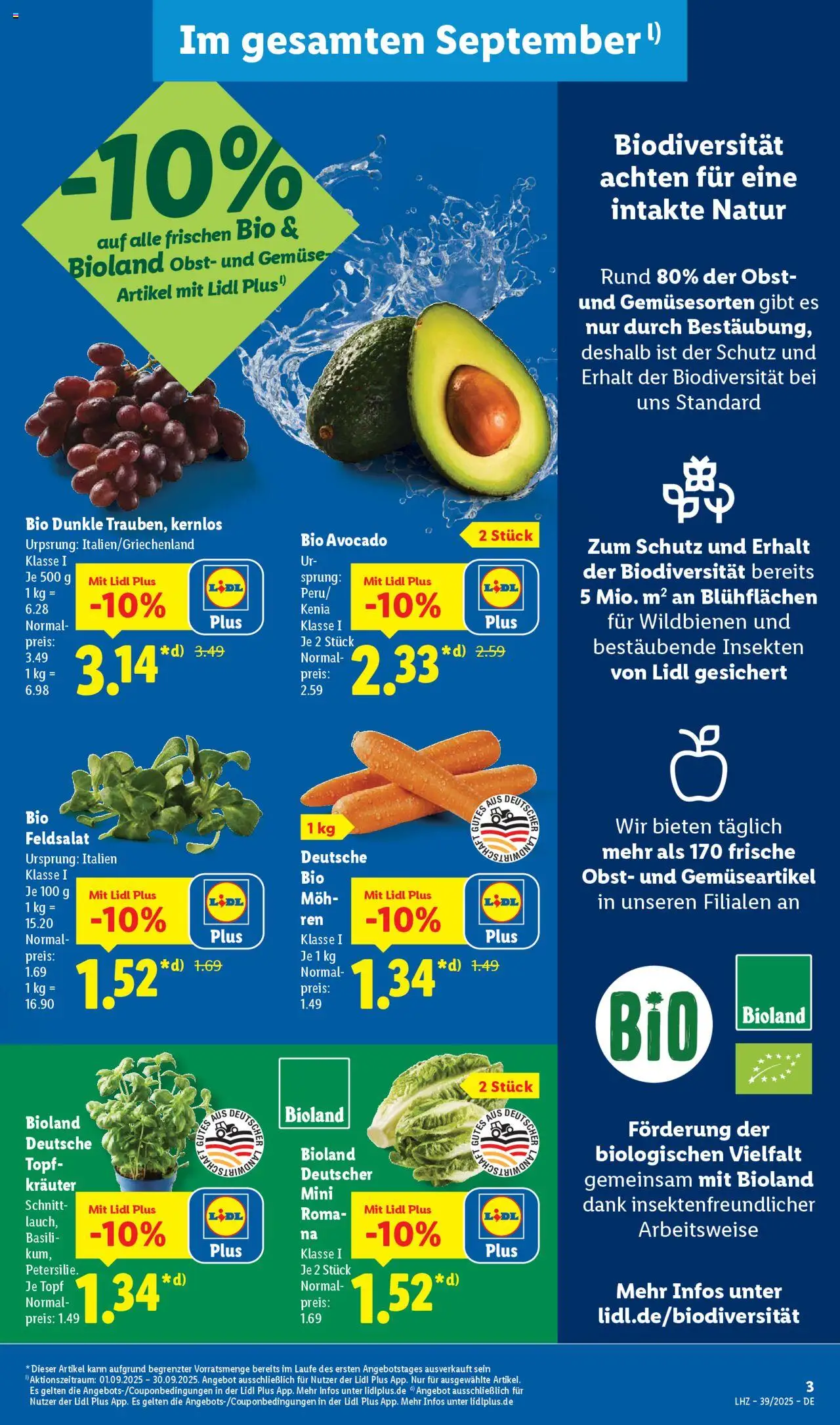 Lidl Prospekt 	 – gültig ab 22.09.2025 | Seite: 3