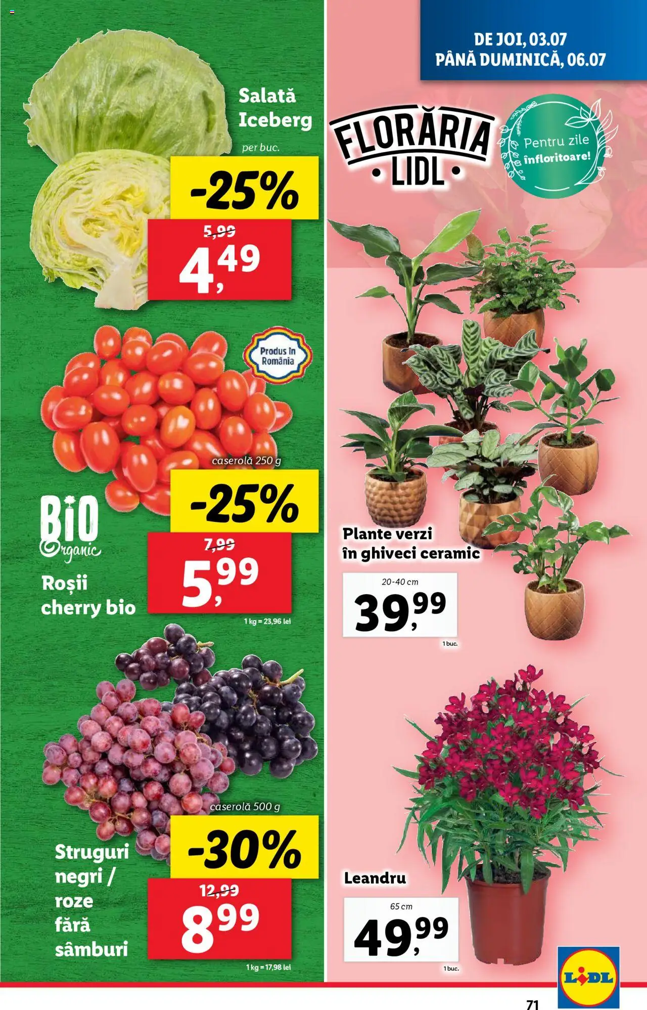 Catalog Lidl – valabil de la 30.06.2025 | Pagină: 71 | Produse: Şerit ödül, Struguri, Ghiveci, Roșii