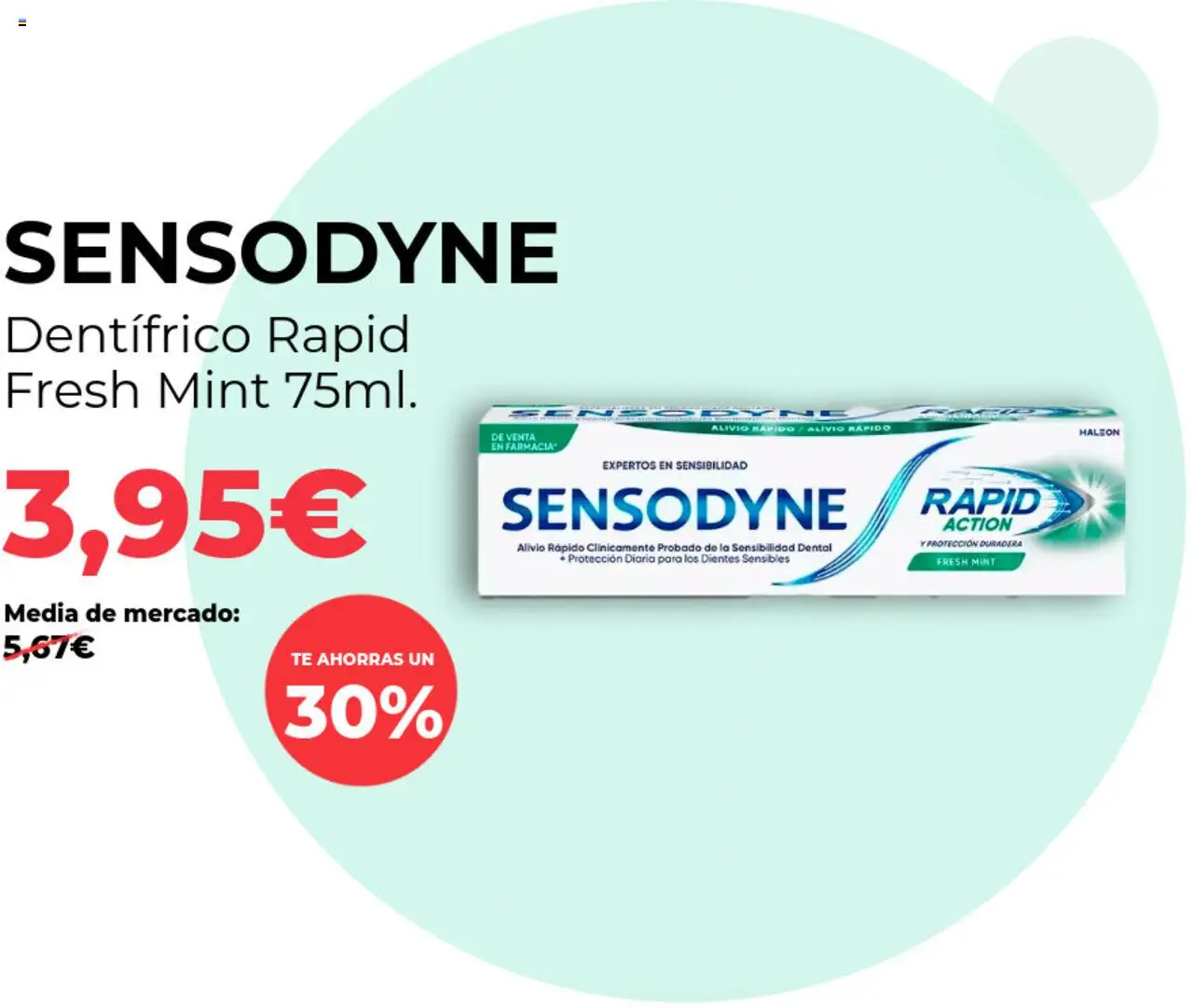 PrimaPrix folleto │ válido desde el 19.08.2025 | Página: 2 | Productos: Té