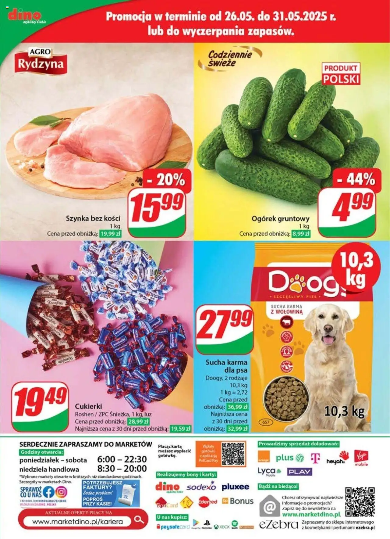 Dino Gazetka od 28.05.2025 | Strona: 71 | Produkty: Cukierki roshen, Karma dla psa, Sucha karma dla psa, Cukierki