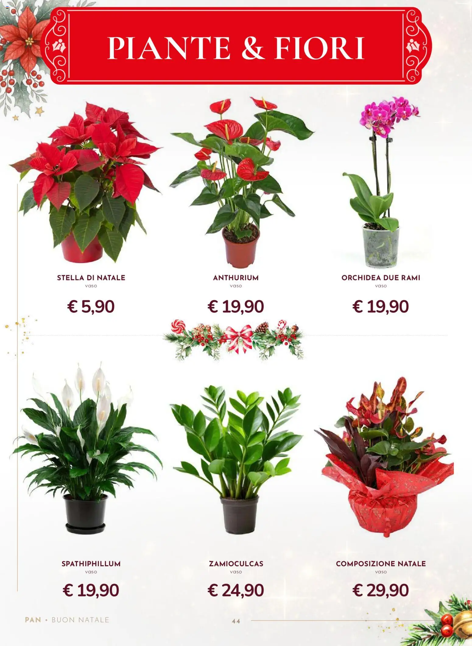 Volantino Pan del 13.11.2025 | Pagina: 44 | Prodotti: Orchidea, Vaso