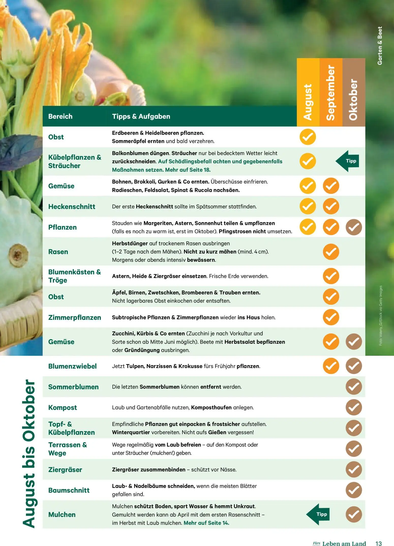 Lagerhaus Fürs Leben am Land gültig ab 01.11.2025 | Seite: 13 | Produkte: Erdbeeren, Gurken, Gemüse, Kürbis