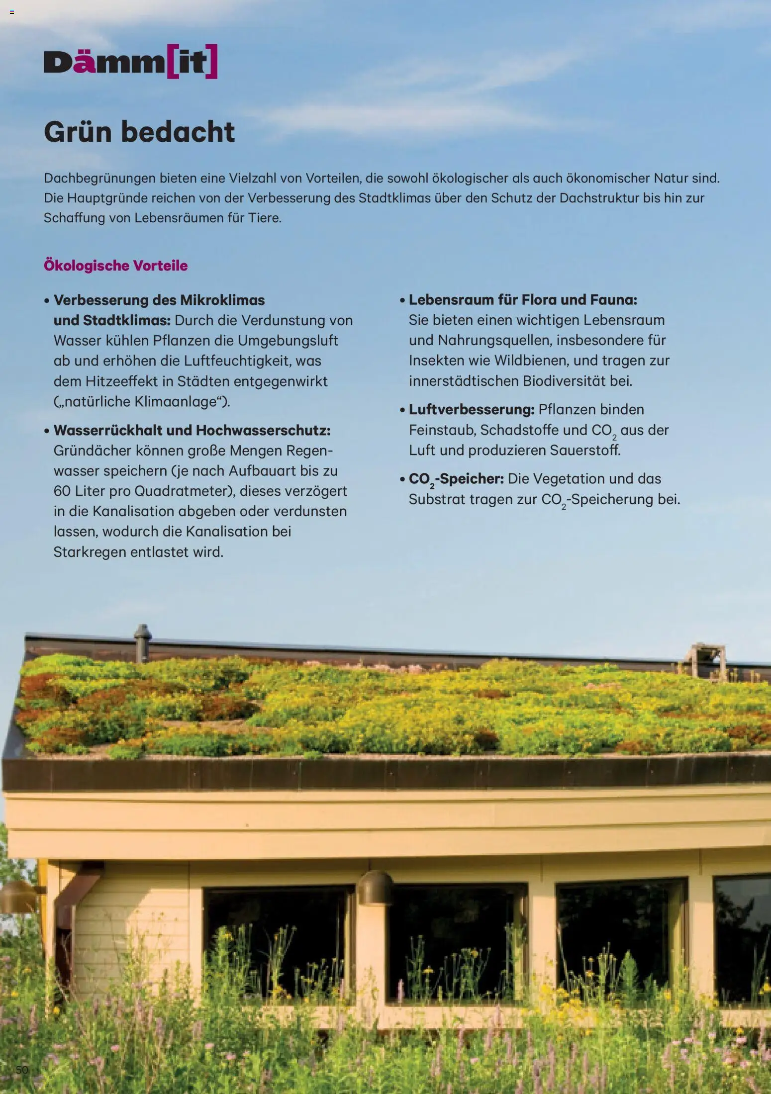 Lagerhaus Dämm[it] Folder gültig ab 02.01.2026 | Seite: 50 | Produkte: Wasser