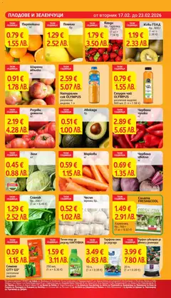 Преглед на Семена CITY GO*, Семена CITY GO* различни видове - Офертите са валидни от 17.02.2026 | Страница: 7