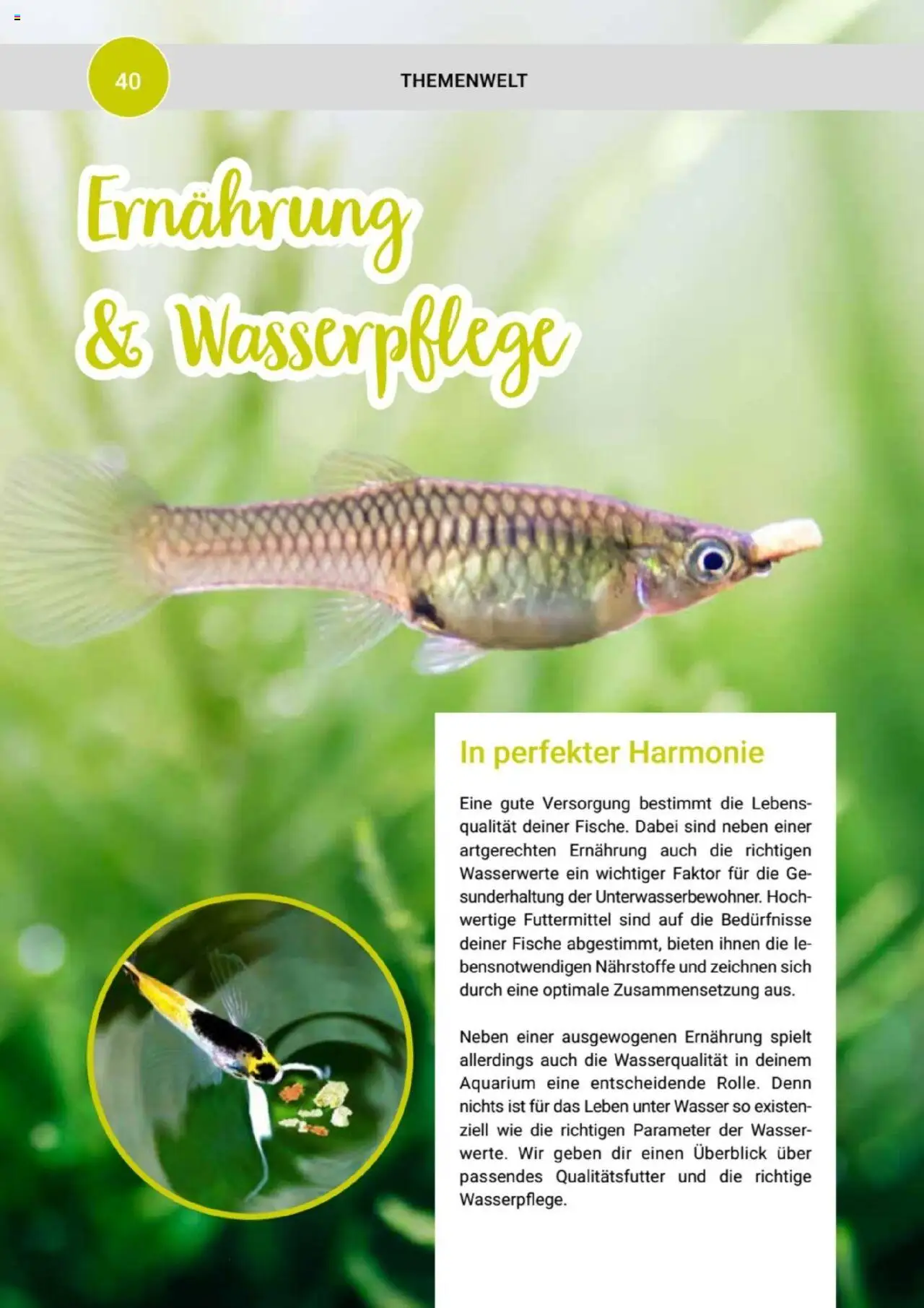 zookauf Themenkatalog Aquaristik – gültig ab 01.10.2025 | Seite: 40 | Produkte: Wasser