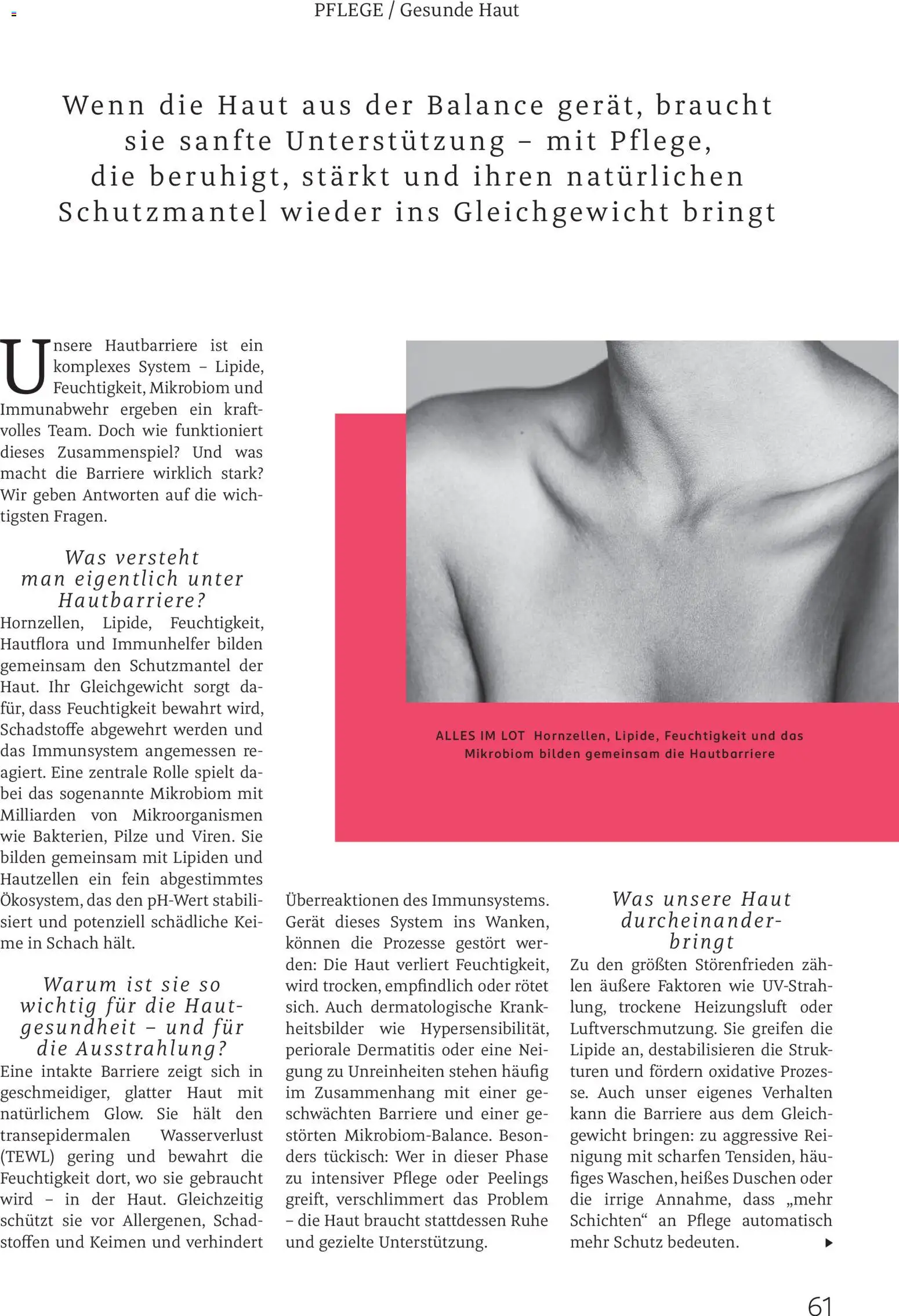 Rossmann Centaur – gültig ab 01.12.2025 | Seite: 61