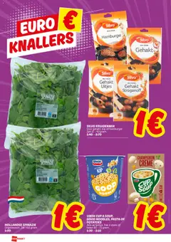  | Pagina: 2 | Producten: Spinazie, Champignon, Beker, Hamburger