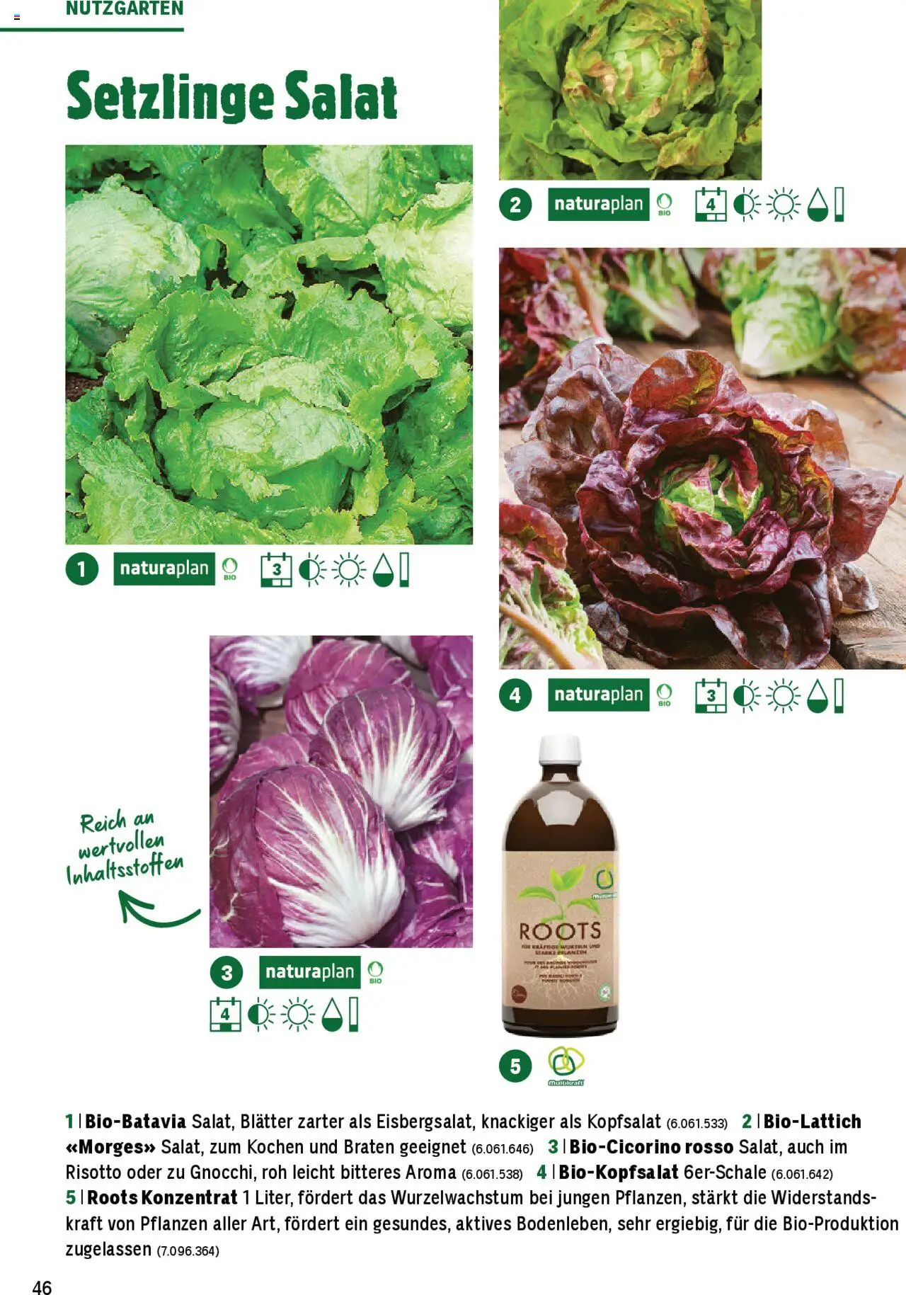 Jumbo Aktionen Dein Garten 2025 ab 21.02.2025 | Seite: 46 | Produkte: Salat, Uhr